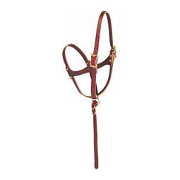 Figure 8 Foal Horse Halter Weaver Leather